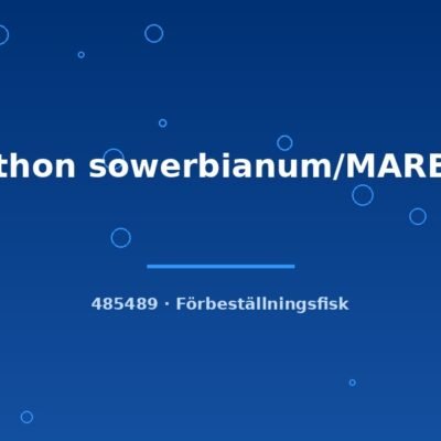 Clithon sowerbianum/MARBLE sm