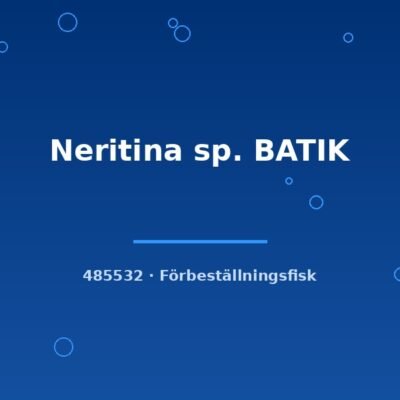 Neritina sp. BATIK md