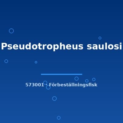 Pseudotropheus saulosi 3-4cm