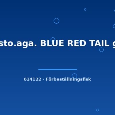 Apisto.aga. BLUE RED TAIL g.br md-lg