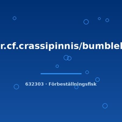 Astr.cf.crassipinnis/bumblebee 6-8cm