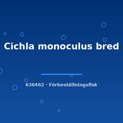 Cichla monoculus bred 4-6cm