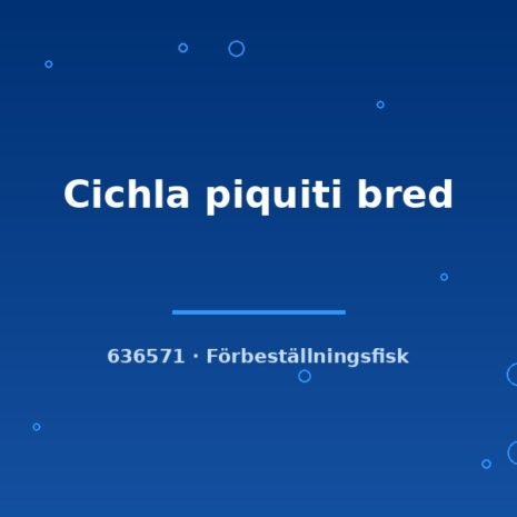 glaser-636571 Cichla piquiti bred 4-6cm