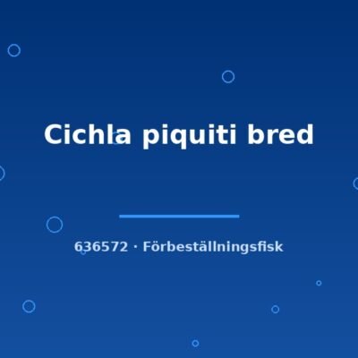 Cichla piquiti bred 6-8cm