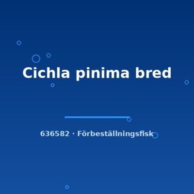 Cichla pinima bred 3-5cm