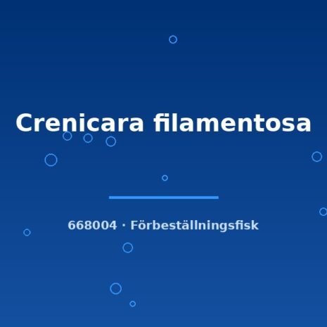 Crenicara filamentosa md
