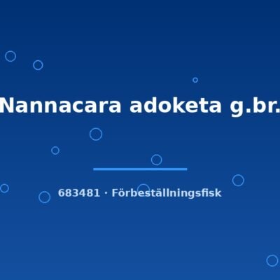 Nannacara adoketa g.br. 3cm
