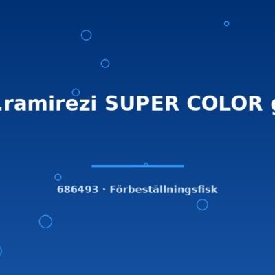Pap.ramirezi SUPER COLOR g.br. 3-5cm