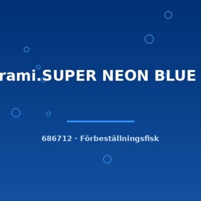 Pap.rami.SUPER NEON BLUE g.br. 2,5-3cm