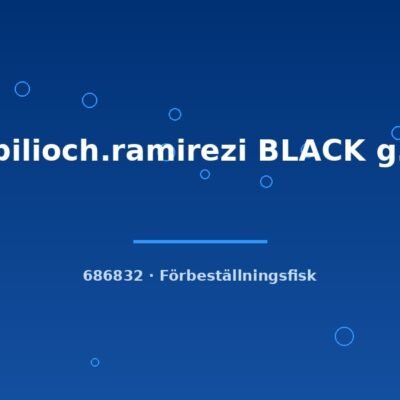 Papilioch.ramirezi BLACK g.br. 2,5-3cm