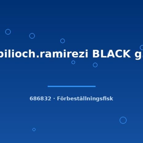 glaser-686832 glaser-686832