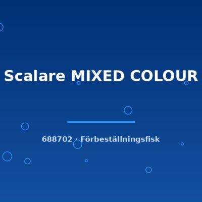 Scalare MIXED COLOUR md