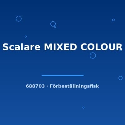 Scalare MIXED COLOUR md-lg