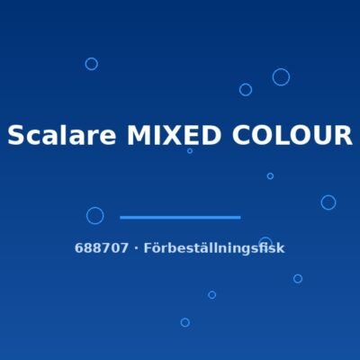 Scalare MIXED COLOUR xlg-sh