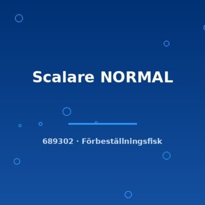 Scalare NORMAL md