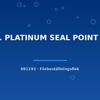 Scal. PLATINUM SEAL POINT g.br ml