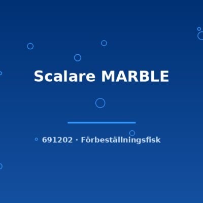 Scalare MARBLE md