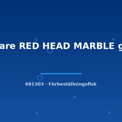 Scalare RED HEAD MARBLE g. br. ml