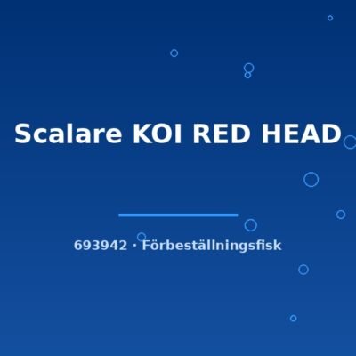 Scalare KOI RED HEAD md