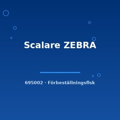 Scalare ZEBRA md