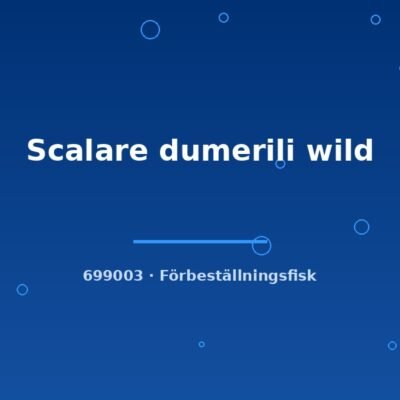 Scalare dumerili wild md-lg