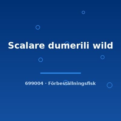 Scalare dumerili wild lg