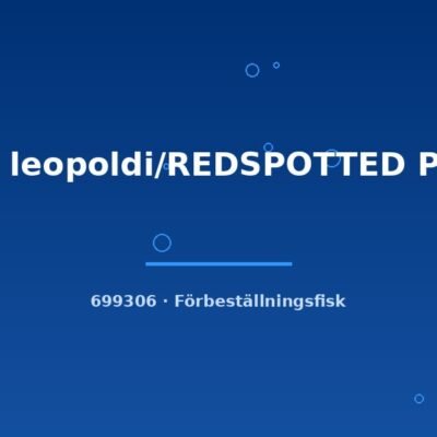 Scal leopoldi/REDSPOTTED PERU xlg