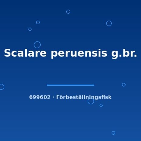 glaser-699602