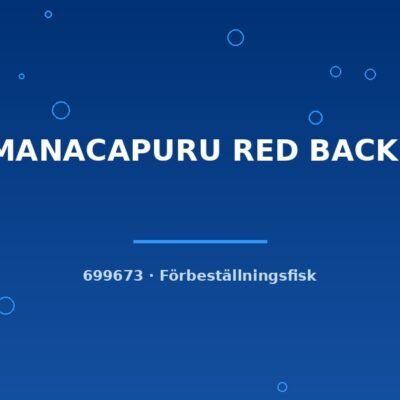 Sca.MANACAPURU RED BACK g.br. md-lg