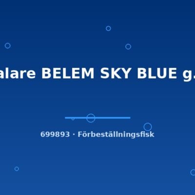 Scalare BELEM SKY BLUE g.br. md-lg