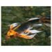 nas-pad-25966-500x500-1