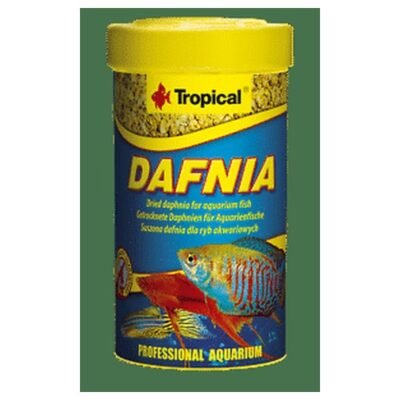 Tropical Dafnia