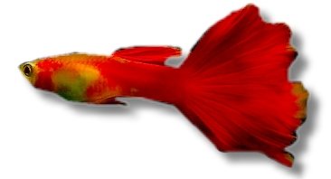 red mix (3 - 4 cm)