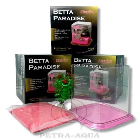 petra-U822