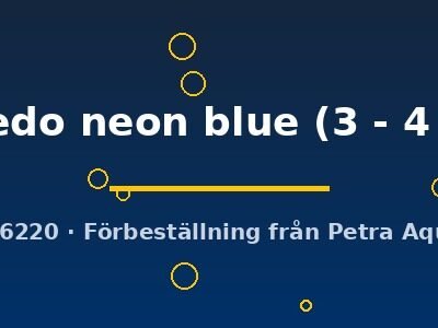tuxedo neon blue (3 - 4 cm)