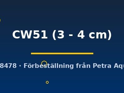 Corydoras CW51 3–4 cm
