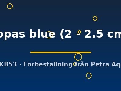 topas blue (2 - 2.5 cm)