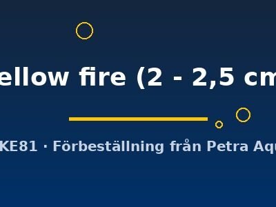yellow fire (2 - 2,5 cm)