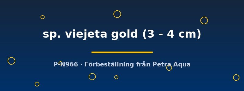 petra-ph-173296 petra-ph-173296