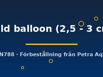 gold balloon (2,5 - 3 cm)