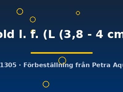 gold l. f. (L (3,8 - 4 cm))