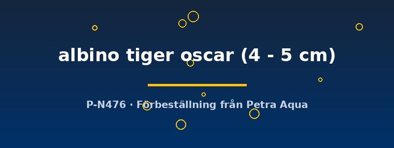 petra-ph-173499 petra-ph-173499