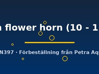 green flower horn (10 - 12 cm)