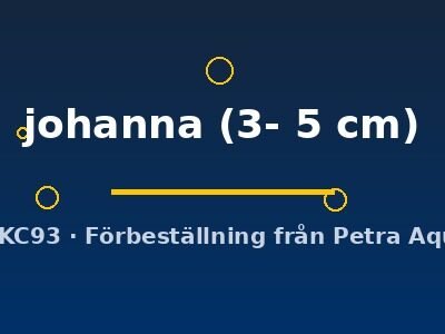 johanna (3- 5 cm)