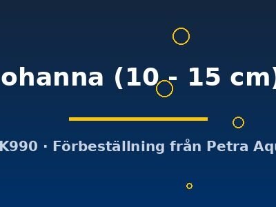johanna (10 - 15 cm)
