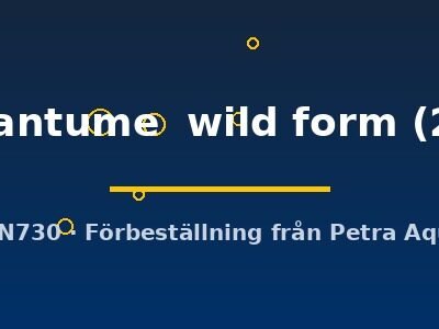 Pterophyllum altum Dantume wild form 2–3 cm
