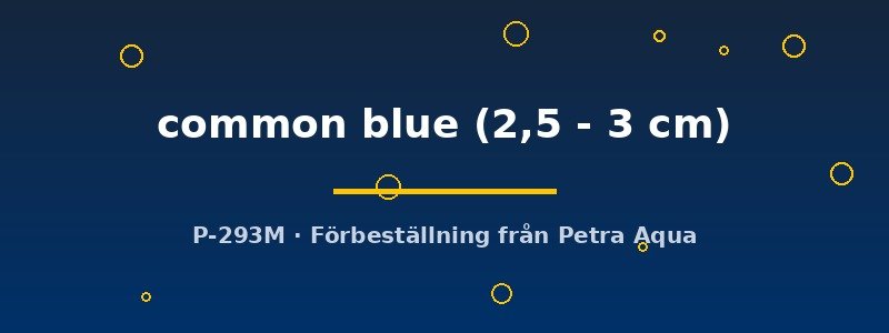 petra-ph-174123 petra-ph-174123