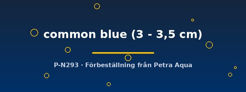 petra-ph-174124 petra-ph-174124