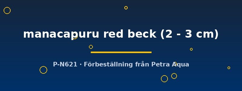 petra-ph-174346 petra-ph-174346