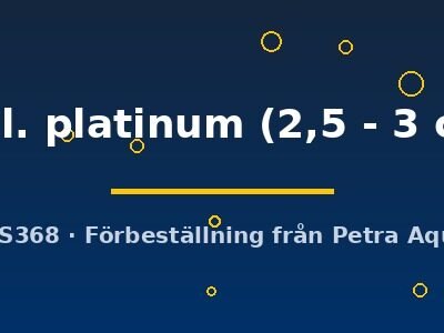 Pterophyllum scalare scal. platinum 2,5–3 cm